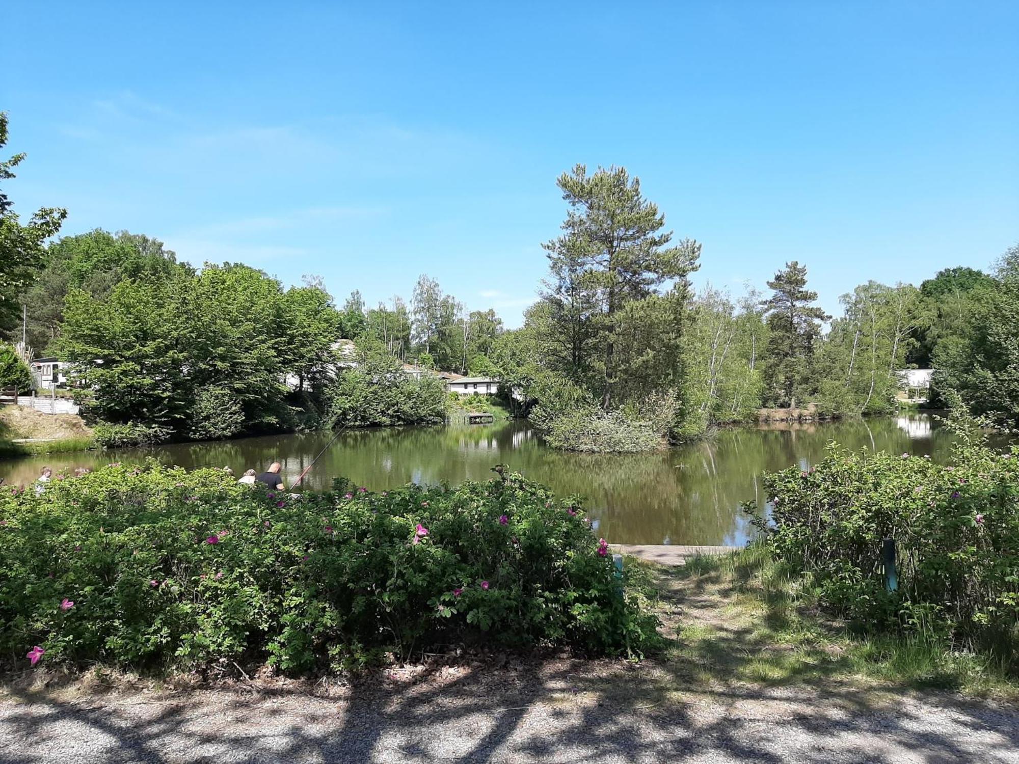 Resort Wilsumer Berge Chambre photo